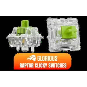 Glorious Raptor Clicky Switches for Mechanical Keyboards for Gaming: 36 PCS, 5-pin, Transparent for MAX RGB, Pre-Lubed, Compatible with MX Keycaps, Premium Click Bar for Thocky Sound / GLO-SWT-RAPTOR-LUBED